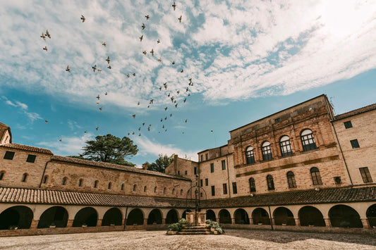 Scopri l'Abbazia! Visita e caccia al tesoro!